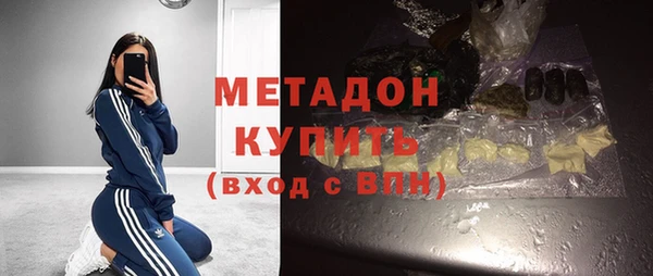 прущие грибы Баксан