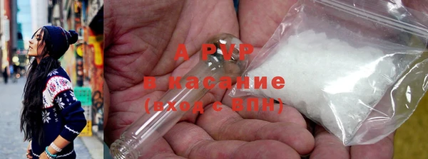 прущие грибы Баксан