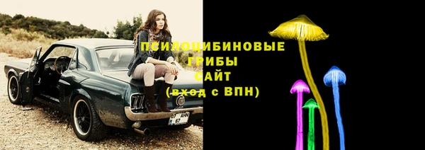 прущие грибы Баксан