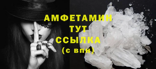 прущие грибы Баксан