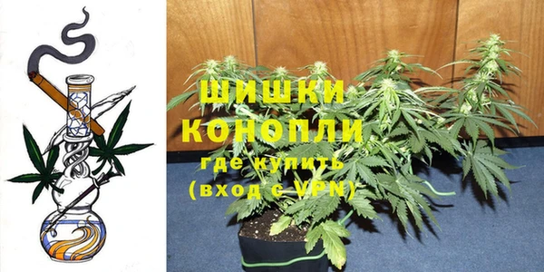 прущие грибы Баксан