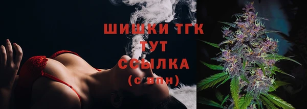 прущие грибы Баксан