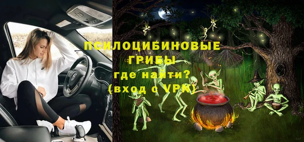 прущие грибы Баксан