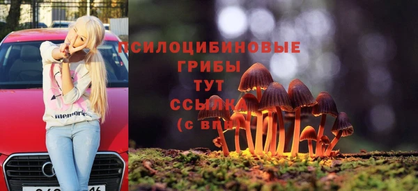 гашик Балахна