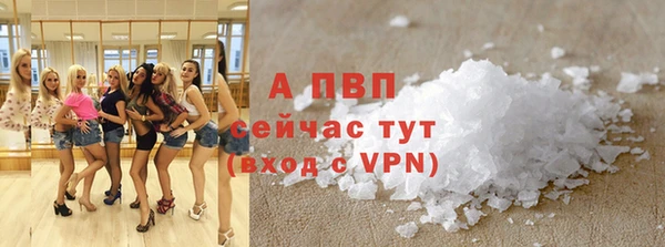 прущие грибы Баксан
